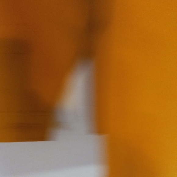 NWT Woolrich Men's Golden Button Down Shirt - Picture 6 of 9